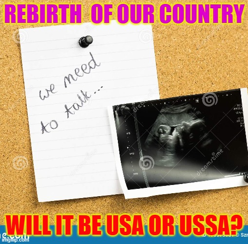Bebirth | REBIRTH  OF OUR COUNTRY; WILL IT BE USA OR USSA? | image tagged in usa we need to talk | made w/ Imgflip meme maker