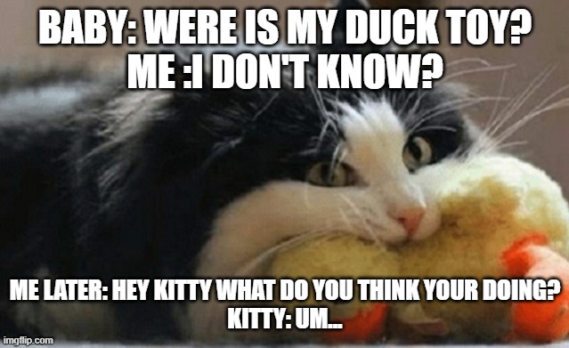 Cats these days | BABY: WERE IS MY DUCK TOY?
ME :I DON'T KNOW? ME LATER: HEY KITTY WHAT DO YOU THINK YOUR DOING?
KITTY: UM... | image tagged in cats | made w/ Imgflip meme maker