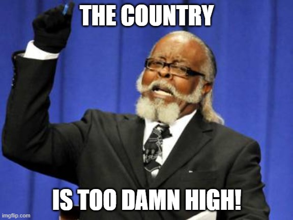 After the 2020 election the next candidate debate be like.... | THE COUNTRY; IS TOO DAMN HIGH! | image tagged in memes,too damn high,marijuana,presidential candidates,political meme | made w/ Imgflip meme maker