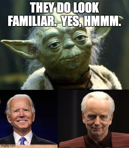 Star Wars Yoda | THEY DO LOOK FAMILIAR.  YES, HMMM. | image tagged in memes,star wars yoda | made w/ Imgflip meme maker