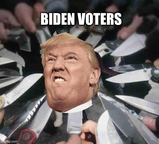 Knife Cat | BIDEN VOTERS | image tagged in knife cat | made w/ Imgflip meme maker