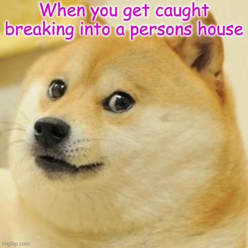 Doge | When you get caught breaking into a persons house | image tagged in memes,doge | made w/ Imgflip meme maker