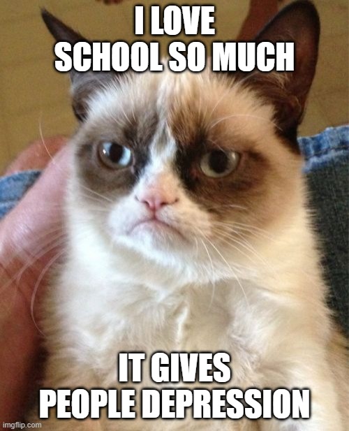 Grumpy Cat Meme | I LOVE SCHOOL SO MUCH; IT GIVES PEOPLE DEPRESSION | image tagged in memes,grumpy cat | made w/ Imgflip meme maker