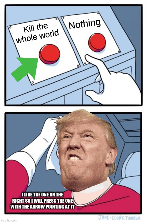 Two Buttons Meme | Nothing; Kill the whole world; I LIKE THE ONE ON THE RIGHT SO I WILL PRESS THE ONE WITH THE ARROW POINTING AT IT | image tagged in memes,two buttons | made w/ Imgflip meme maker