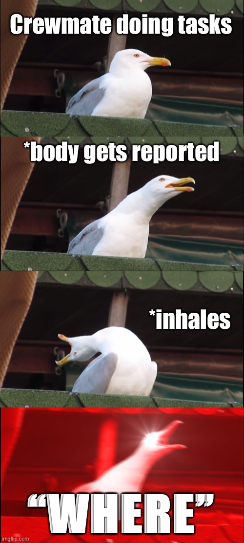 Where? | Crewmate doing tasks; *body gets reported; *inhales; “WHERE” | image tagged in memes,inhaling seagull | made w/ Imgflip meme maker