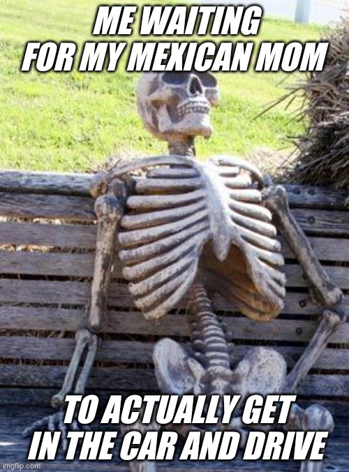 wheres the lie | ME WAITING FOR MY MEXICAN MOM; TO ACTUALLY GET IN THE CAR AND DRIVE | image tagged in memes,waiting skeleton | made w/ Imgflip meme maker