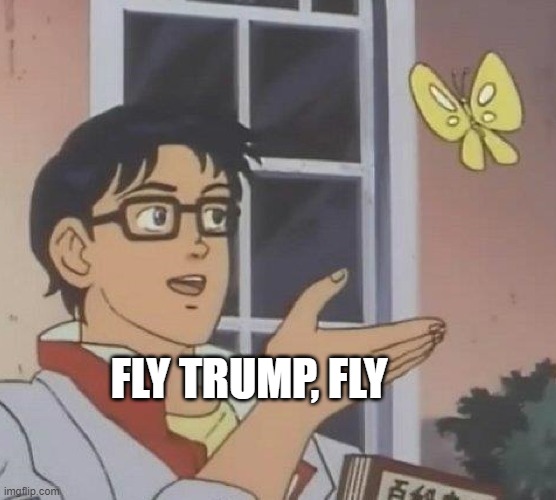 Is This A Pigeon Meme | FLY TRUMP, FLY | image tagged in memes,is this a pigeon,trump,flytrump,trump2020,biden | made w/ Imgflip meme maker