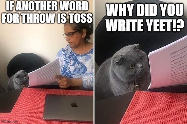 Woman showing paper to cat | IF ANOTHER WORD FOR THROW IS TOSS; WHY DID YOU WRITE YEET!? | image tagged in woman showing paper to cat | made w/ Imgflip meme maker