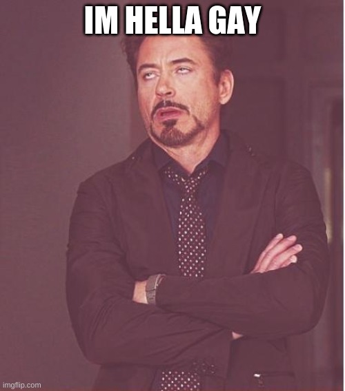 Very true | IM HELLA GAY | image tagged in memes,face you make robert downey jr | made w/ Imgflip meme maker