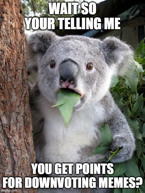 Wait, So Your Telling Me... | WAIT SO YOUR TELLING ME; YOU GET POINTS FOR DOWNVOTING MEMES? | image tagged in memes,surprised koala,funny memes,cool memes,upvote,downvote | made w/ Imgflip meme maker