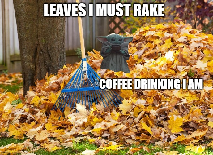 RAKING LEAVES | LEAVES I MUST RAKE; COFFEE DRINKING I AM | image tagged in baby yoda,raking leaves,fall,coffee | made w/ Imgflip meme maker