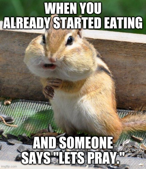 eat | WHEN YOU ALREADY STARTED EATING; AND SOMEONE SAYS "LETS PRAY." | image tagged in chipmunk | made w/ Imgflip meme maker