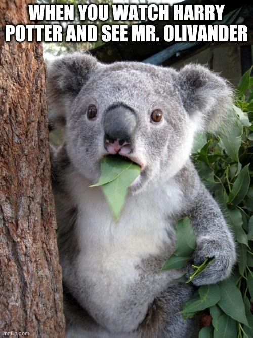 Surprised Koala | WHEN YOU WATCH HARRY POTTER AND SEE MR. OLIVANDER | image tagged in memes,surprised koala | made w/ Imgflip meme maker