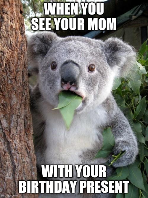 yes | WHEN YOU SEE YOUR MOM; WITH YOUR BIRTHDAY PRESENT | image tagged in memes,surprised koala | made w/ Imgflip meme maker