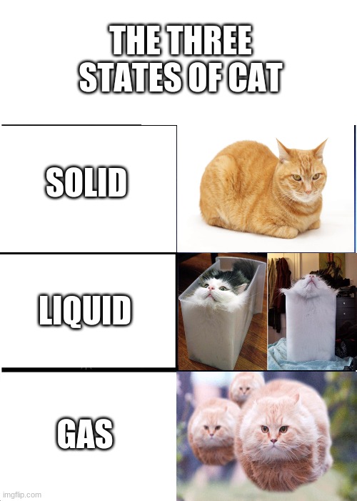 Expanding Brain | THE THREE STATES OF CAT; SOLID; LIQUID; GAS | image tagged in memes,expanding brain | made w/ Imgflip meme maker