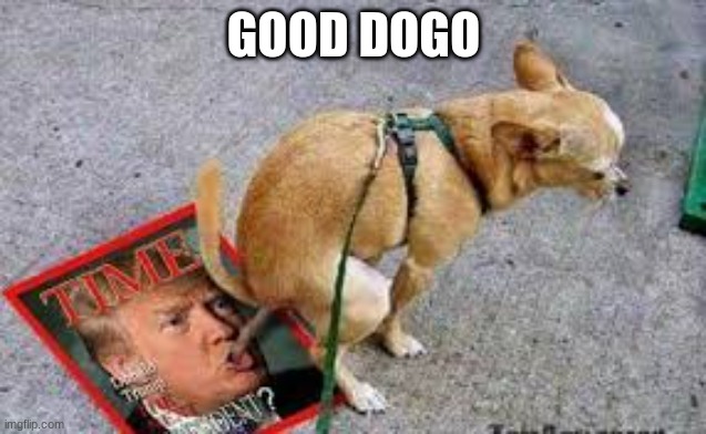 Trump Dog Poop | GOOD DOGO | image tagged in trump dog poop | made w/ Imgflip meme maker