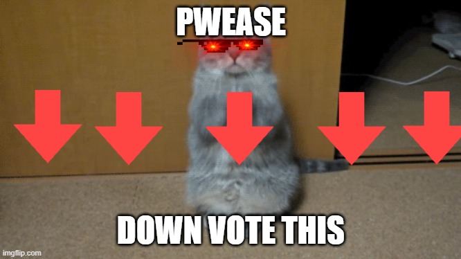 downvote this | PWEASE; DOWN VOTE THIS | image tagged in cat pleading | made w/ Imgflip meme maker