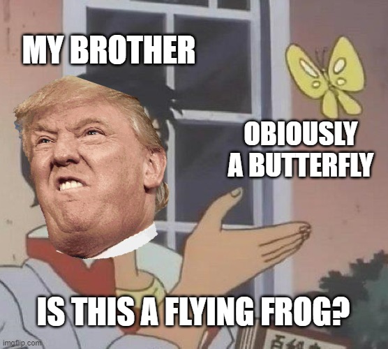 stupid brother | MY BROTHER; OBIOUSLY A BUTTERFLY; IS THIS A FLYING FROG? | image tagged in memes,is this a pigeon | made w/ Imgflip meme maker