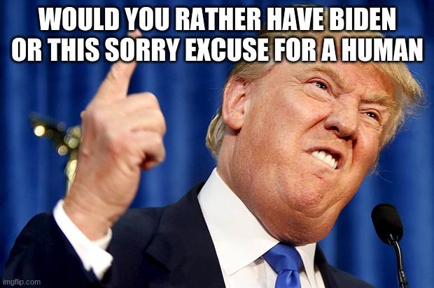 Donald Trump | WOULD YOU RATHER HAVE BIDEN OR THIS SORRY EXCUSE FOR A HUMAN | image tagged in donald trump | made w/ Imgflip meme maker