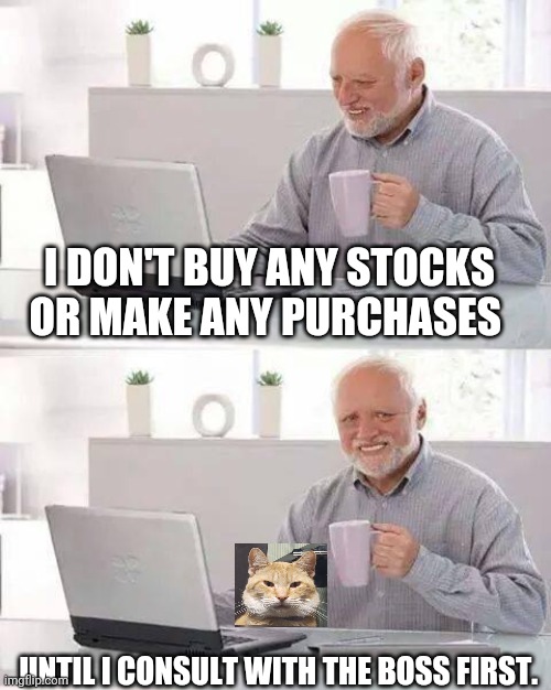 Hide the Pain Harold Meme | I DON'T BUY ANY STOCKS OR MAKE ANY PURCHASES; UNTIL I CONSULT WITH THE BOSS FIRST. | image tagged in memes,hide the pain harold | made w/ Imgflip meme maker