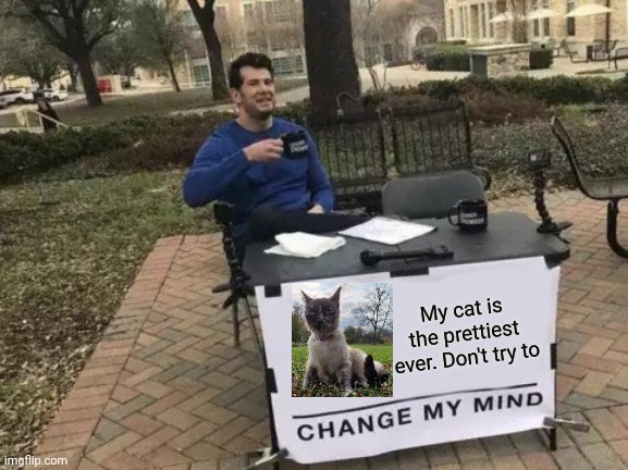 Change My Mind Meme | My cat is the prettiest ever. Don't try to | image tagged in memes,change my mind | made w/ Imgflip meme maker