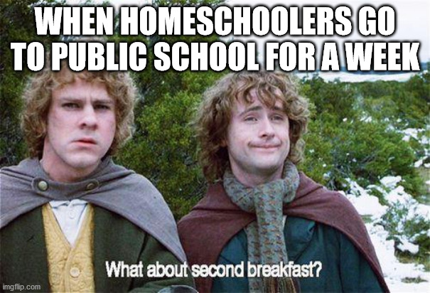 WHEN HOMESCHOOLERS GO TO PUBLIC SCHOOL FOR A WEEK | image tagged in second breakfast | made w/ Imgflip meme maker
