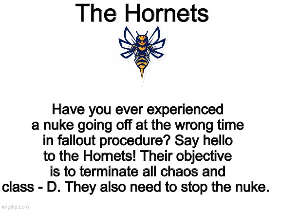 The Hornets | The Hornets; Have you ever experienced a nuke going off at the wrong time in fallout procedure? Say hello to the Hornets! Their objective is to terminate all chaos and class - D. They also need to stop the nuke. | image tagged in blank white template | made w/ Imgflip meme maker