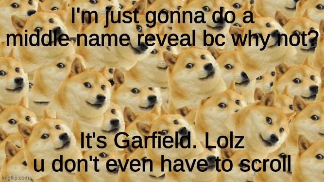 Middle name reveal! | I'm just gonna do a middle name reveal bc why not? It's Garfield. Lolz u don't even have to scroll | image tagged in memes,multi doge | made w/ Imgflip meme maker