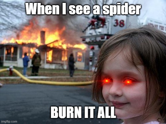 Disaster Girl Meme | When I see a spider; BURN IT ALL | image tagged in memes,disaster girl | made w/ Imgflip meme maker