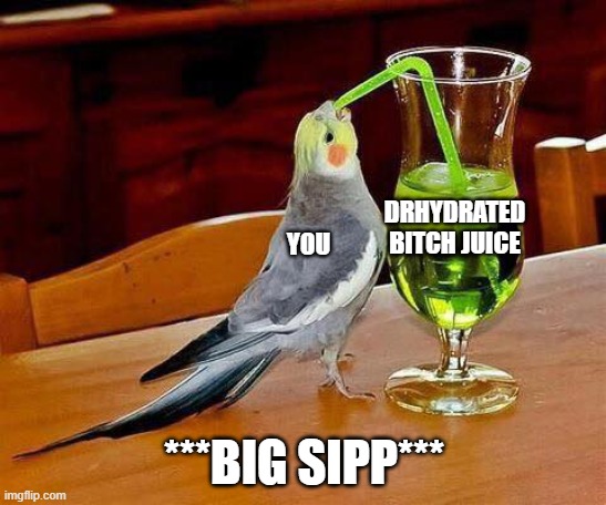 Big Sip | YOU; DRHYDRATED BITCH JUICE; ***BIG SIPP*** | image tagged in big sip | made w/ Imgflip meme maker