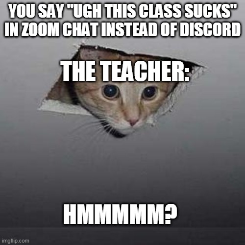 Ceiling Cat Meme | YOU SAY "UGH THIS CLASS SUCKS" IN ZOOM CHAT INSTEAD OF DISCORD; THE TEACHER:; HMMMMM? | image tagged in memes,ceiling cat | made w/ Imgflip meme maker