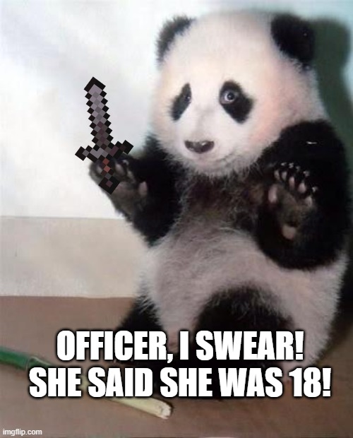 Hands Up panda |  OFFICER, I SWEAR! SHE SAID SHE WAS 18! | image tagged in hands up panda | made w/ Imgflip meme maker