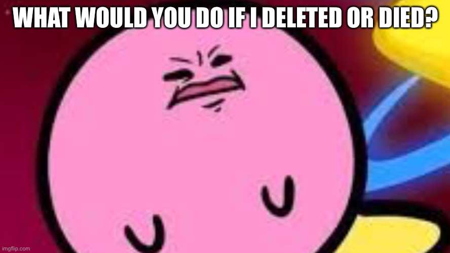 Kirby no | WHAT WOULD YOU DO IF I DELETED OR DIED? | image tagged in kirby no | made w/ Imgflip meme maker