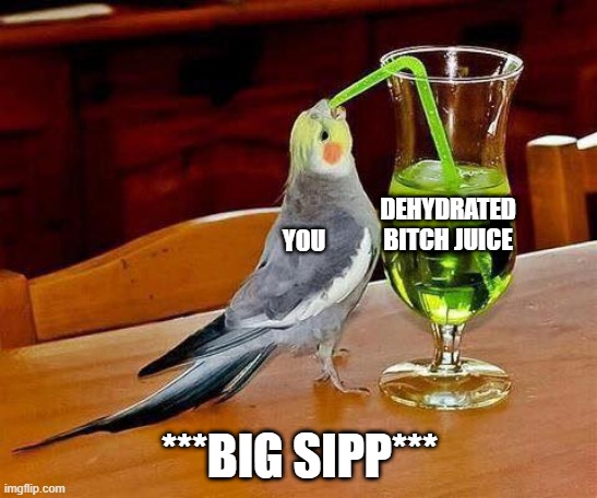 Big Sip | YOU; DEHYDRATED BITCH JUICE; ***BIG SIPP*** | image tagged in big sip | made w/ Imgflip meme maker