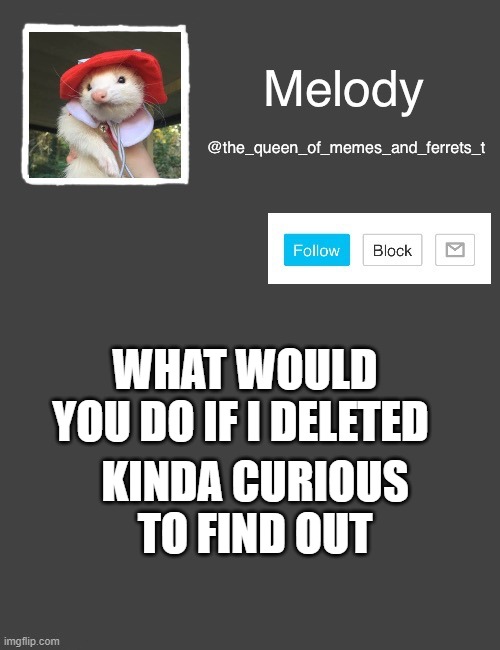 just wanna know and bc every body else doing it | WHAT WOULD YOU DO IF I DELETED; KINDA CURIOUS TO FIND OUT | image tagged in my new template | made w/ Imgflip meme maker