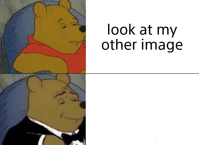 Tuxedo Winnie The Pooh | look at my other image | image tagged in memes,tuxedo winnie the pooh | made w/ Imgflip meme maker