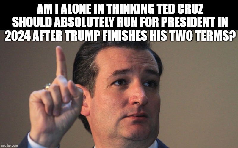 love ted cruz, hope he gets the chance to run for president again. | AM I ALONE IN THINKING TED CRUZ SHOULD ABSOLUTELY RUN FOR PRESIDENT IN 2024 AFTER TRUMP FINISHES HIS TWO TERMS? | image tagged in ted cruz | made w/ Imgflip meme maker