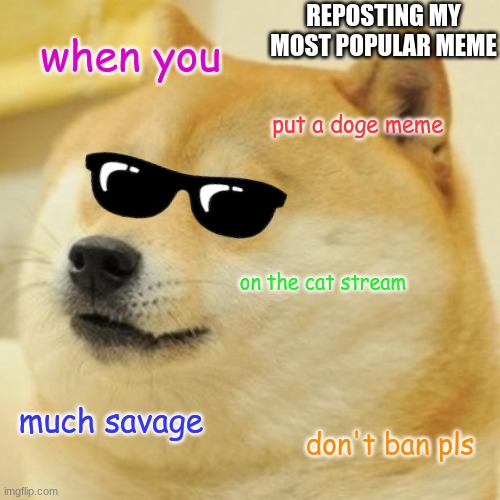 hahaha (imgflip add a doge memes stream pls) | REPOSTING MY MOST POPULAR MEME; when you; put a doge meme; on the cat stream; much savage; don't ban pls | image tagged in memes,doge,dogs,shiba inu,repost,cats | made w/ Imgflip meme maker
