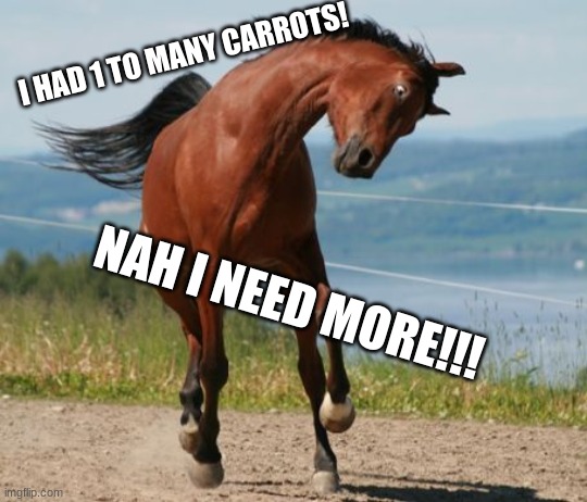 horsey wanna treat | I HAD 1 TO MANY CARROTS! NAH I NEED MORE!!! | image tagged in horse | made w/ Imgflip meme maker