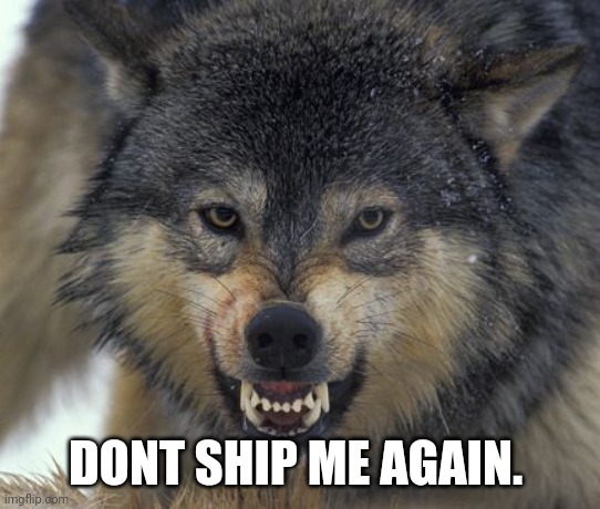 DONT SHIP ME AGAIN. | made w/ Imgflip meme maker