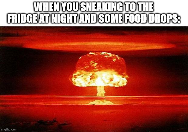 sneaking to the fridge be like: | WHEN YOU SNEAKING TO THE FRIDGE AT NIGHT AND SOME FOOD DROPS: | image tagged in atomic bomb | made w/ Imgflip meme maker