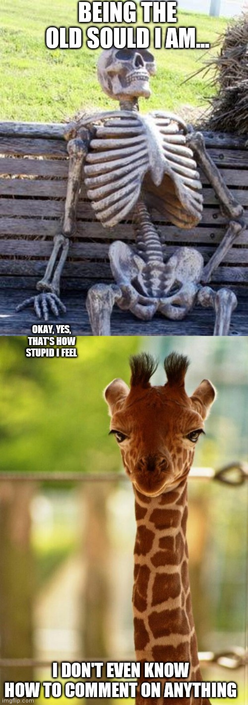 BEING THE OLD SOULD I AM... OKAY, YES, THAT'S HOW STUPID I FEEL; I DON'T EVEN KNOW HOW TO COMMENT ON ANYTHING | image tagged in memes,waiting skeleton,no comment giraffe | made w/ Imgflip meme maker