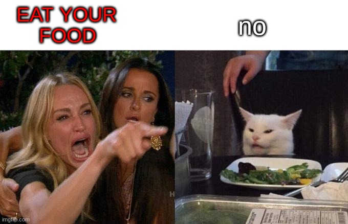 Woman Yelling At Cat | EAT YOUR 
      FOOD; no | image tagged in memes,woman yelling at cat | made w/ Imgflip meme maker