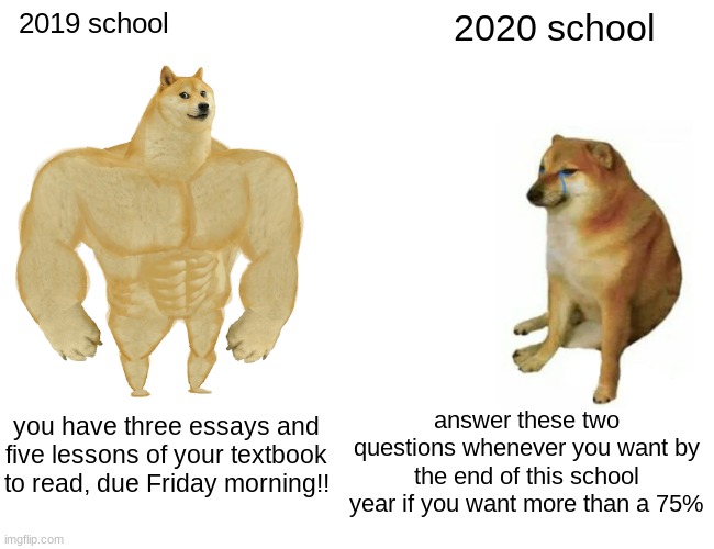 Why yes very much funniest of all memes |  2019 school; 2020 school; answer these two questions whenever you want by the end of this school year if you want more than a 75%; you have three essays and five lessons of your textbook to read, due Friday morning!! | image tagged in memes,buff doge vs cheems,funny,doggo,bork | made w/ Imgflip meme maker