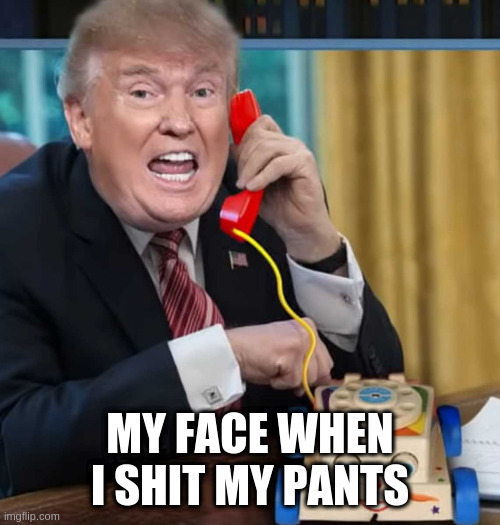 I'm the president | MY FACE WHEN I SHIT MY PANTS | image tagged in i'm the president | made w/ Imgflip meme maker