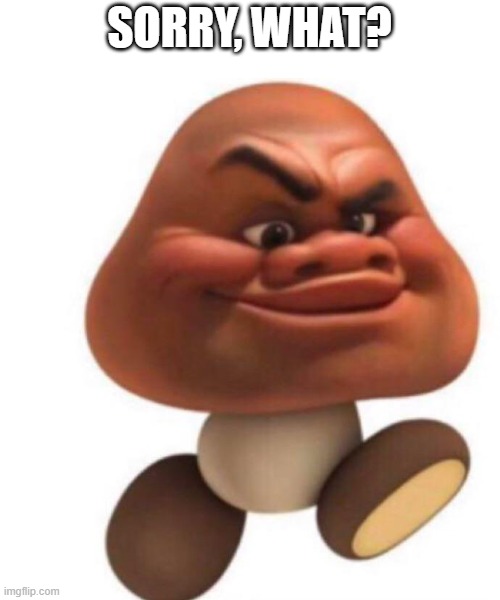 maui goomba | SORRY, WHAT? | image tagged in maui goomba | made w/ Imgflip meme maker