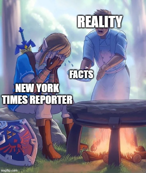 Facts are disinformation, ignorance is strength. | REALITY; FACTS; NEW YORK TIMES REPORTER | image tagged in gordon ramsay yelling at link | made w/ Imgflip meme maker