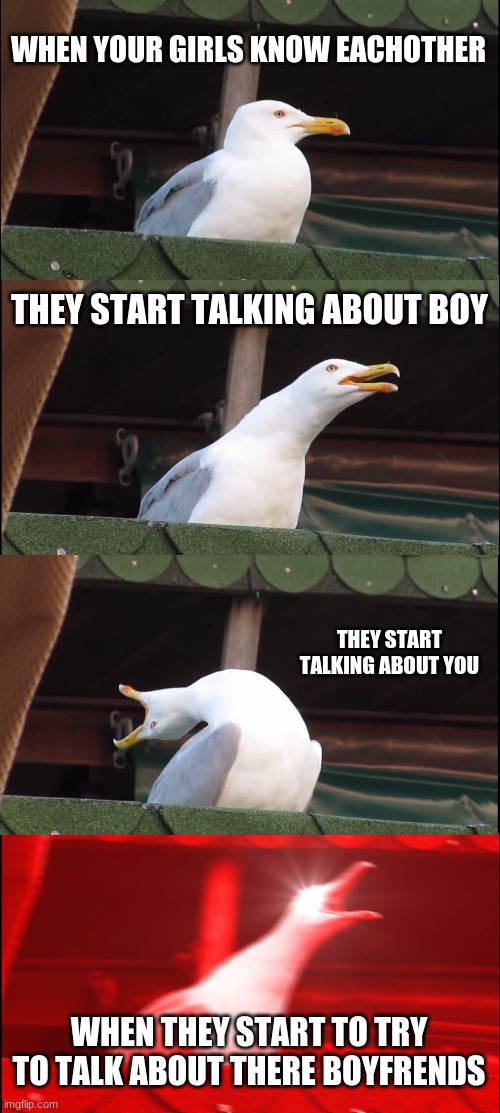 Inhaling Seagull Meme | WHEN YOUR GIRLS KNOW EACHOTHER; THEY START TALKING ABOUT BOY; THEY START TALKING ABOUT YOU; WHEN THEY START TO TRY TO TALK ABOUT THERE BOYFRENDS | image tagged in memes,inhaling seagull | made w/ Imgflip meme maker