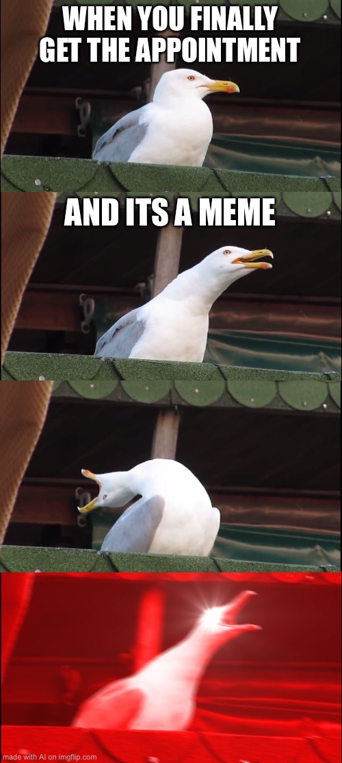 Inhaling Seagull | WHEN YOU FINALLY GET THE APPOINTMENT; AND ITS A MEME | image tagged in memes,inhaling seagull,ai meme | made w/ Imgflip meme maker