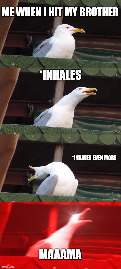 Inhaling Seagull | ME WHEN I HIT MY BROTHER; *INHALES; *INHALES EVEN MORE; MAAAMA | image tagged in memes,inhaling seagull | made w/ Imgflip meme maker